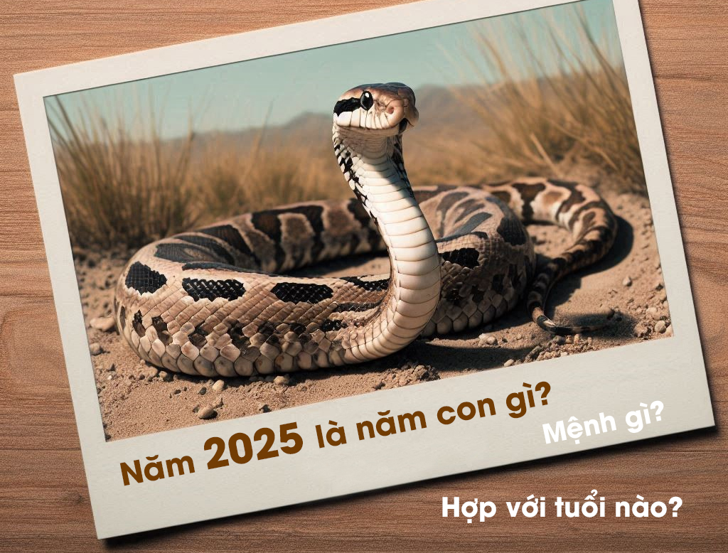 Năm 2025 là năm con gì? Mệnh gì? Hợp với tuổi nào? 20