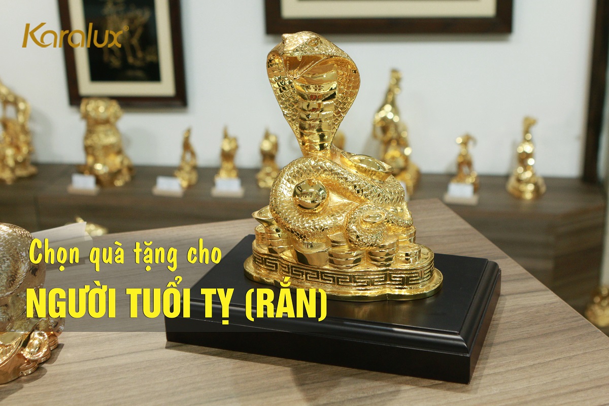 Tư vấn chọn quà tặng cho người tuổi Tỵ (Rắn) 13